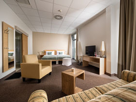 Burgen, Thermen & Wein im Südburgenland | 1 Nacht im Hotel Freiraum Güssing inkl. Burgenland Card