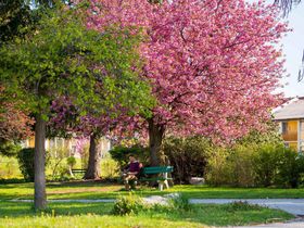 Auszeit in der Steiermark - Natur & Wellness | 5 Nächte