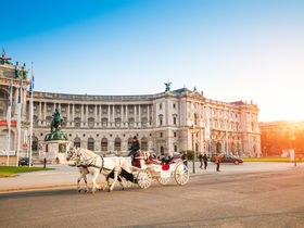 Wien in vollen Zügen erleben mit der Wien Card | 3 Tage
