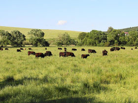 2 Tage Relaxen in Bad Tatzmannsdorf | inkl. Ermäßigung für die Avita Therme