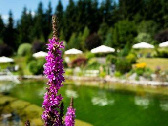 Frühsommer-Special in der Wildkogel Arena | 7 Nächte 