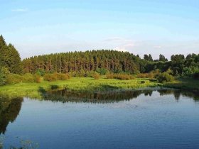 Natur Wochenende am Bütgenbacher See | 4 Tage 