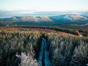 Auszeit in Winterberg im Sauerland inkl. Halbpension & Schwimmbad | 6 Tage 