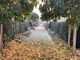 Zweisamkeit & Romantik im Landhaus inkl. Candle-Light-Dinner | 4 Tage 