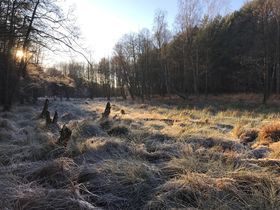 Zweisamkeit & Romantik im Landhaus inkl. Candle-Light-Dinner | 4 Tage 