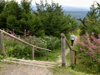 Bild 16 von 36