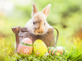Das Osterfest genießen im Erzgebirge