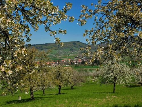Hotel garni Schacherer