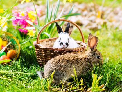 Ostern an der Nordsee im Tide Hotel 