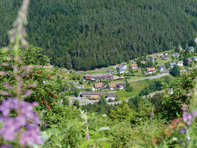 Kennenlerntage | 4 Tage im Schwarzwald mit Massage & 5 Gang Dinner