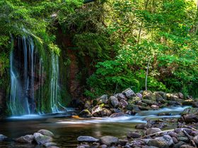 Waldlust-Winter-Vorteilstage 2026 5 = 4 