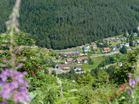 November-Kurztrip- 4 = 3 im Schwarzwald