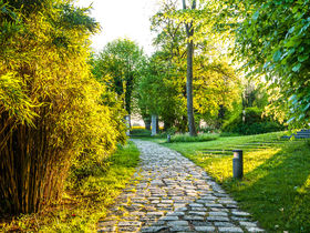 Frühbucher Spezial - Winter Wonderland an der Ostsee
