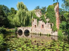 Das ist Wanderbar- Wandern in und um Aschaffenburg 4 Tage 