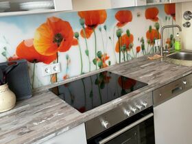 Regionales Frühlingserwachen im romantischen Rheinsberg inkl. Abendessen & Leihfahrrad