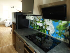 Regionales Frühlingserwachen im romantischen Rheinsberg inkl. Abendessen & Leihfahrrad