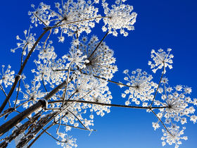 Winterzeit 3 Tage im Rheinsberger Seenland direkt am Schloss inkl. 3 Gang Menü im 