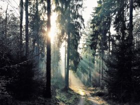 Ein Sonntag zum Dableiben