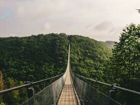 Wandern im Hunsrück | 3 Tage inkl. HP und Lunchpakete