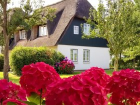 Luxus-Auszeit auf Föhr – exklusive Suite & Wellness