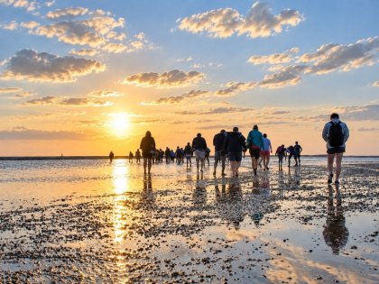 Aktive Insel-Auszeit auf Föhr – Natur & Meer erleben