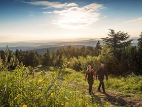 6 Tage der Hektik entfliehen - 