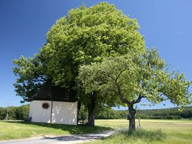 Kurze Auszeit