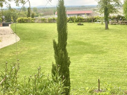 Wandern - Pfalzurlaub in der Villa Delange