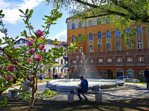 Hotel Stadt Löbau