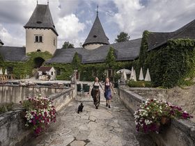 Natururlaub nahe Stausee Ottenstein im Waldviertel inkl. Abendbuffet | 7 Nächte