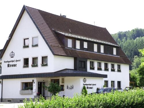 DIE KRONE AM FLUSS