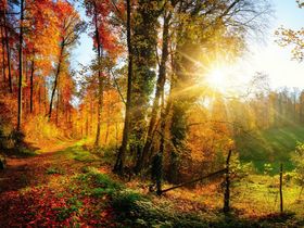 Wir sind mal kurz weg - 5 Tage inkl. 3 Gang Menü & Badeparadies