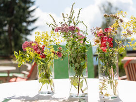 Sommerferien inmitten der Nockberge - Natur pur mit kulinarischem Genuss | 6 Nächte  