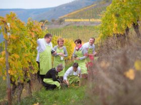 Das Wandern macht am Rheinsteig Lust | 3 Tage am Rhein