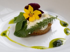 1 Woche Entdeckerurlaub am Rhein inkl. Abendessen und Schifffahrt