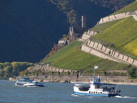 1 Woche Entdeckerurlaub am Rhein inkl. Abendessen und Schifffahrt