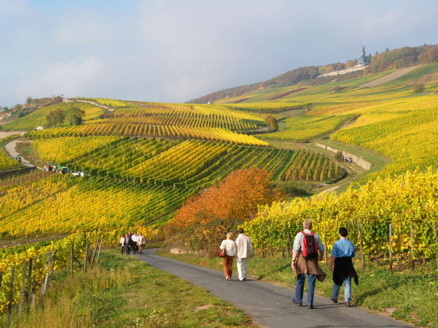 Last Minute im Rheingau / 4 Tage / 3 Nächte