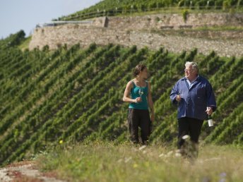 Last Minute im Rheingau / 5 Tage / 4 Nächte 