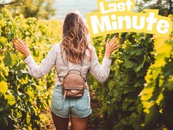 Last Minute im Rheingau / 5 Tage / 4 Nächte 