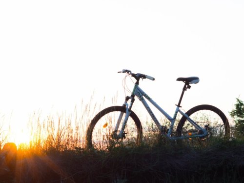 Bike & Nature am Neusiedler See 