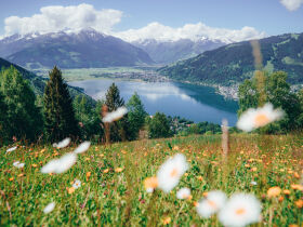 Midweek Special 4=3 | Urlaubstage in der Salzburger Bergwelt