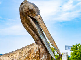 Sommer am Starnberger See