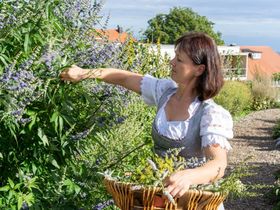 Höchsten Zeit 3 Tage - Übernachtung mit Frühstück in Ilmensee