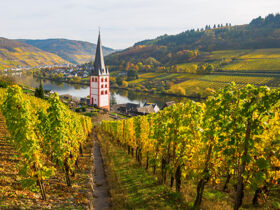 Auszeit in den Weinbergen an der Mosel | 5 Tage