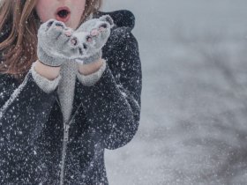 Winterzauber im Weinberg | 2 Tage