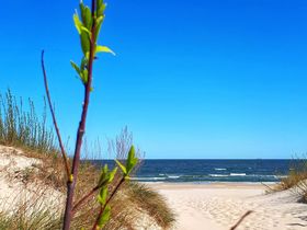 Kurzurlaub an der Ostsee in Swinemünde | 3 Tage mit Halbpension