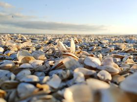 Kurzurlaub an der Ostsee in Swinemünde | 3 Tage mit Halbpension