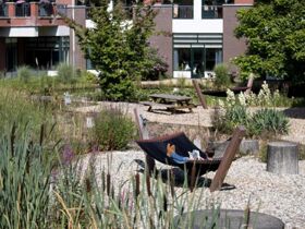 Entspannung und Natur in der Provinz Garderen Niederlande  4 Nächte 