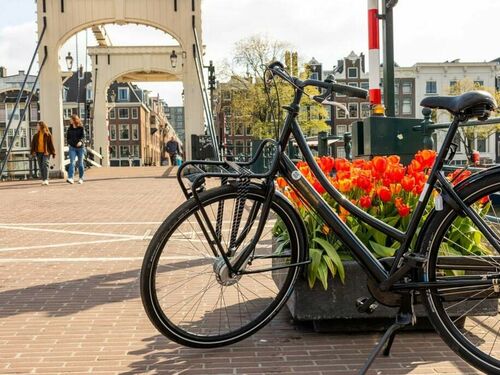 4 Tage Kurzurlaub - Auszeit vom Alltag in Amsterdam