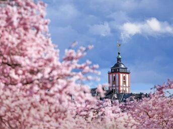 3 Tage Auszeit in Siegen - Natur & Städtetrip im Sauerland
